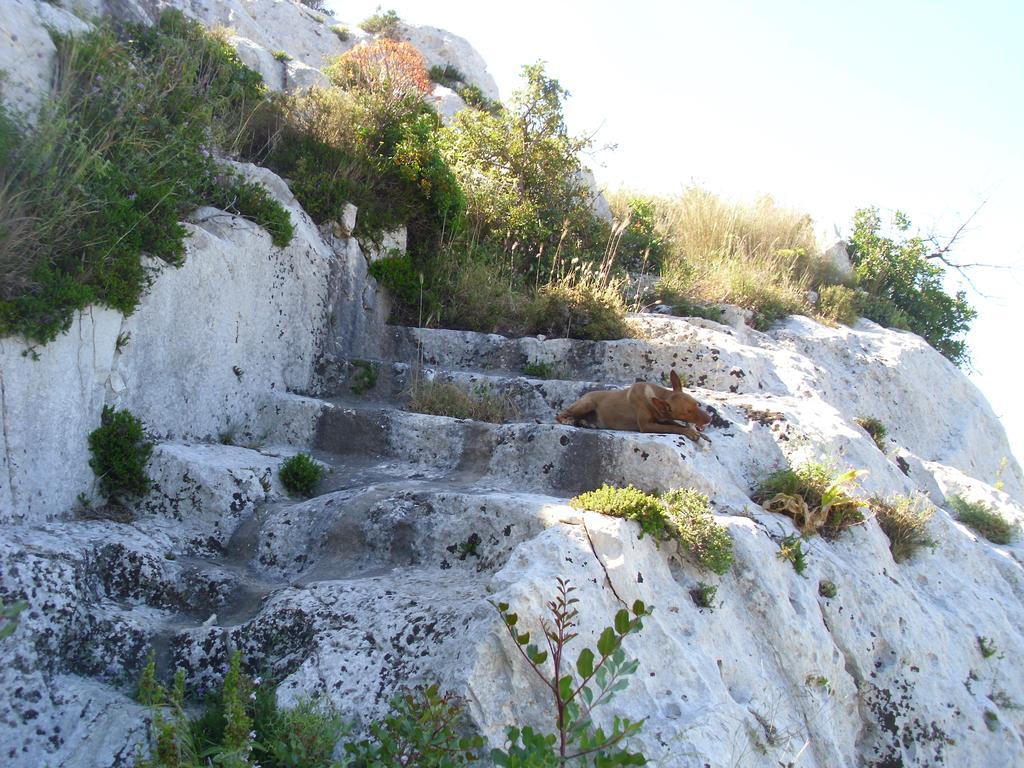 B&B Tari Συρακούσες Εξωτερικό φωτογραφία